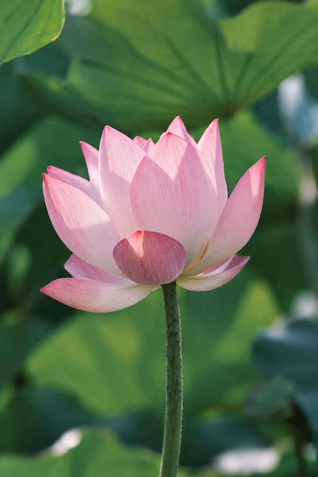 摄影眼官网sheyingyan.com